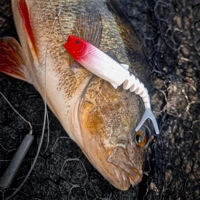 Savage Gear Lure Specialist Dropshot Weights